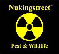 Nukingstreet Pest & Wildlife Control Jeffrey Davis