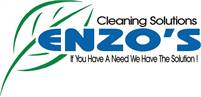 Enzo's Cleaning Solutions Maureen Esposito